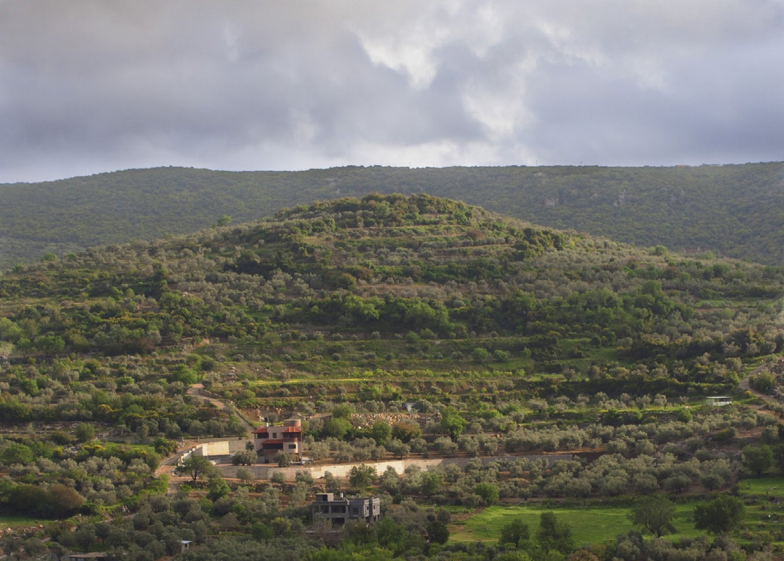 بداية صناعة الصابون